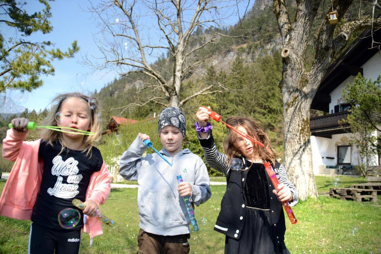 Almhof Baumgarten Frühstückspension 3*