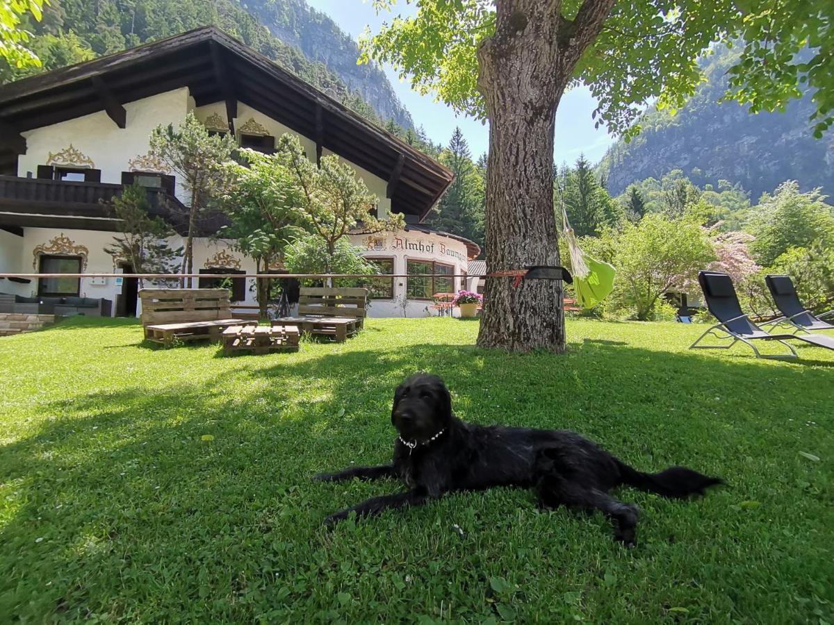 Almhof Baumgarten Frühstückspension Bad Reichenhall