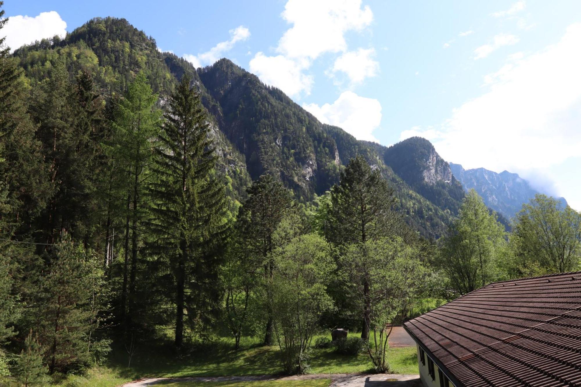 Bed and breakfast Almhof Baumgarten